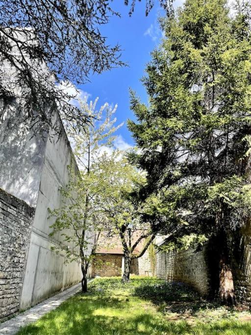 Maison Flore Besançon Eksteriør billede